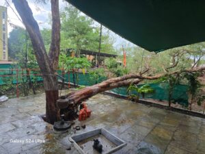 IMG 20260622 WA0033